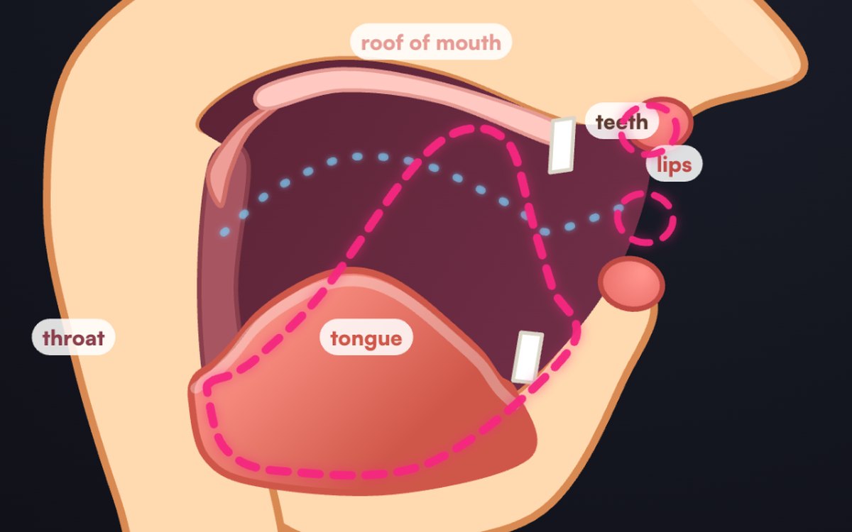 Mouth X-Ray — a BoldVoice voice game
